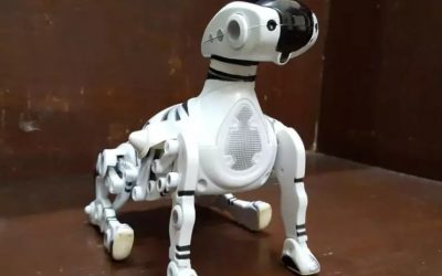 Robot Robopet